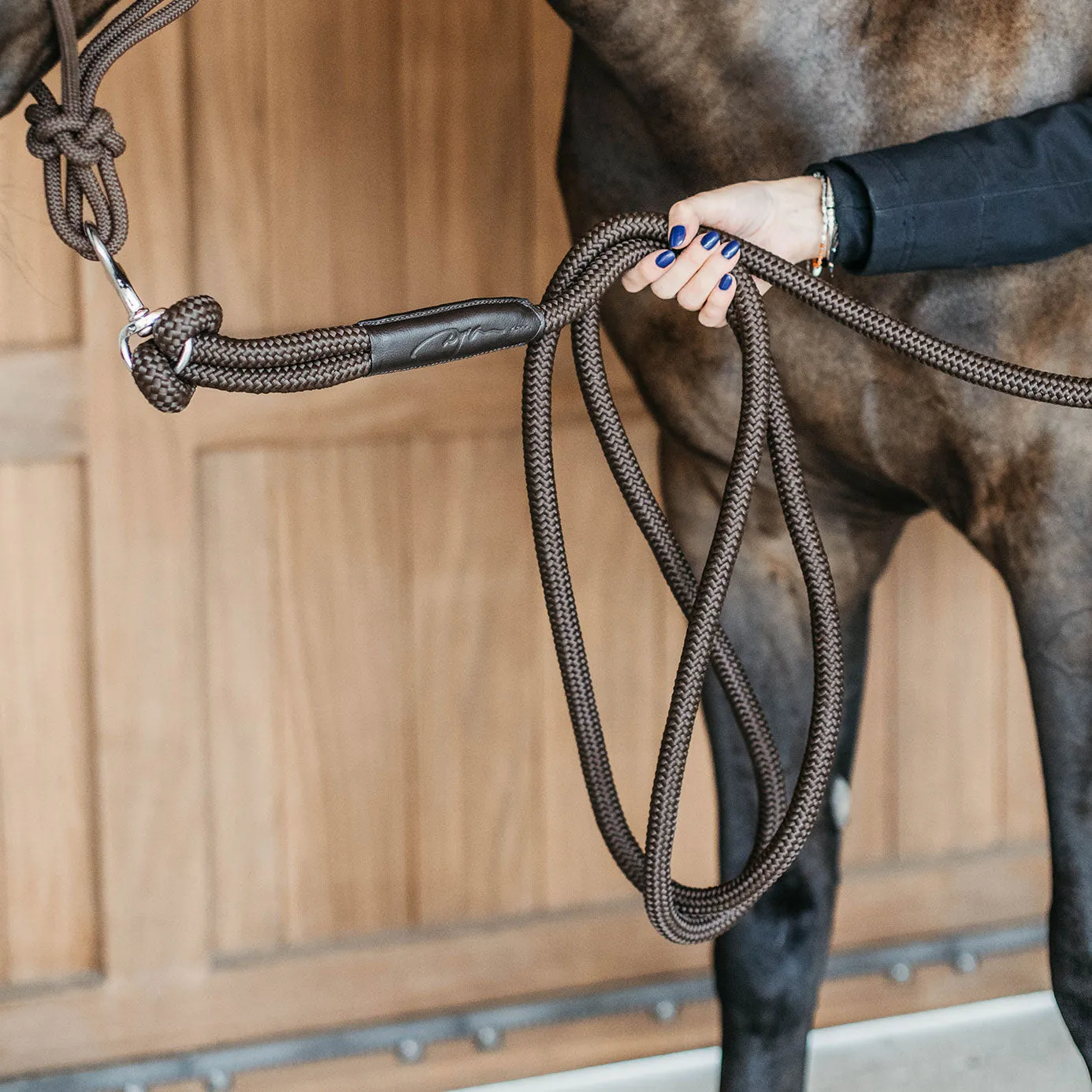 Dy'on Working Collection Training Lead with Removable Snap - Brown