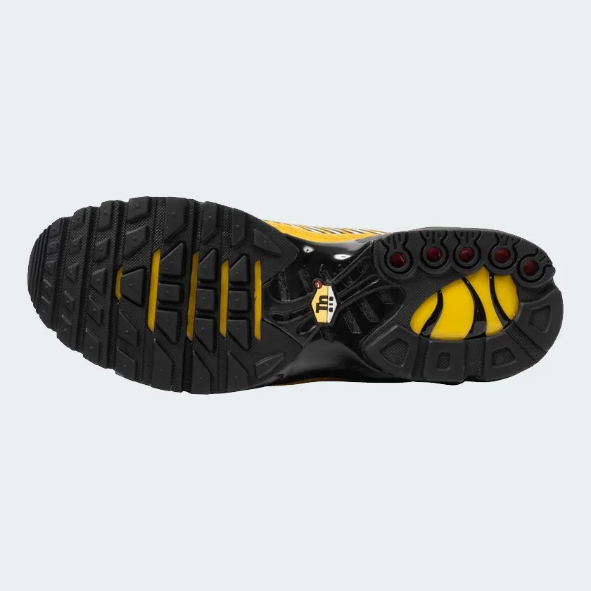 Nike Juniors Air Max Plus TN Special Edition BQ1188 700