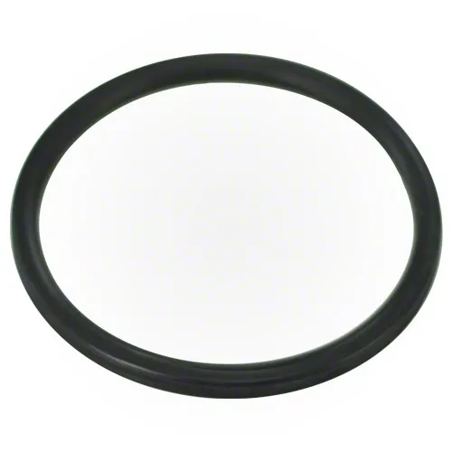 Pentair Diffuser O-ring 355030Z