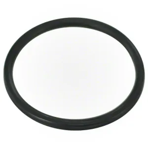 Pentair Diffuser O-ring 355030Z