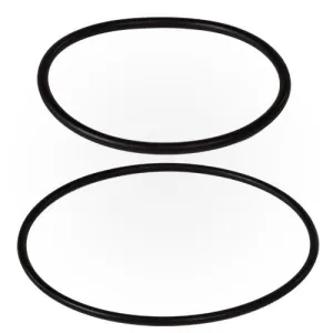 Pentair O-Ring Kit ZBR12200