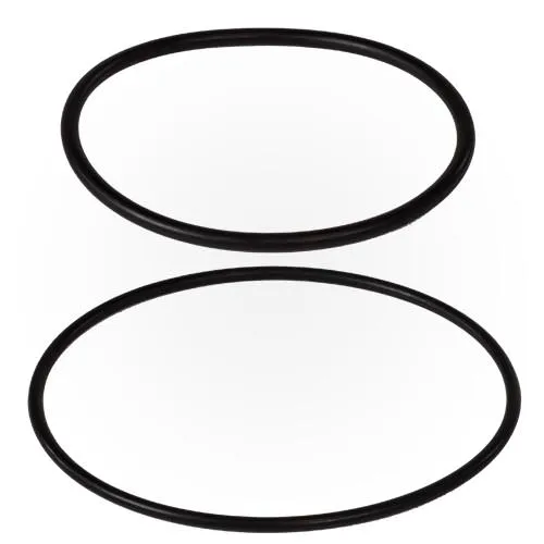 Pentair O-Ring Kit ZBR12200