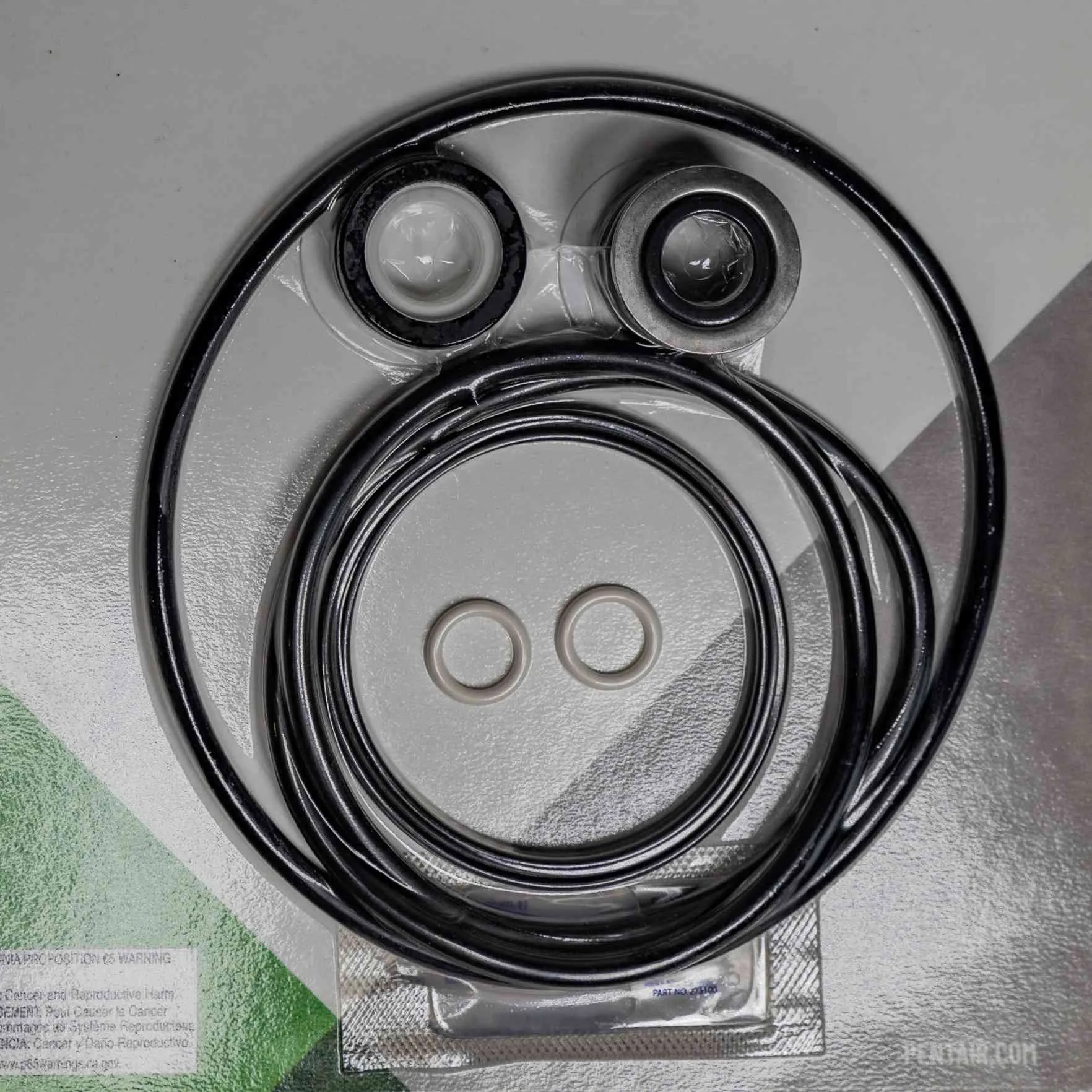 Pentair Pump Seal Quick Kit 356197